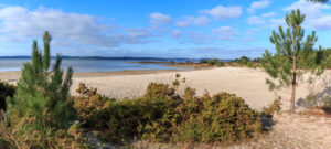 Plage sur le lac d'Hourtin à Hourtin Port