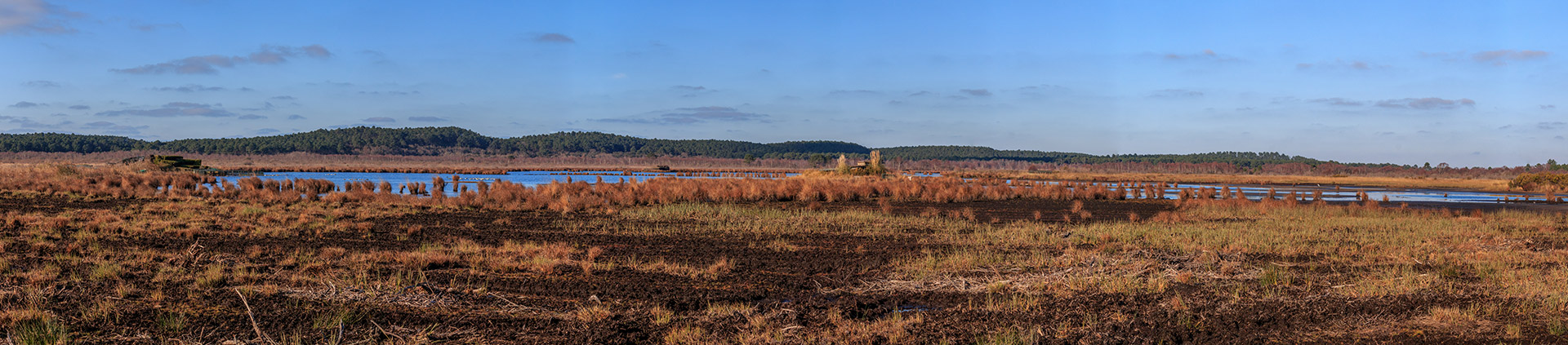 Nature à Contaut Piqueyrot au bord du lac de Hourtin Médoc