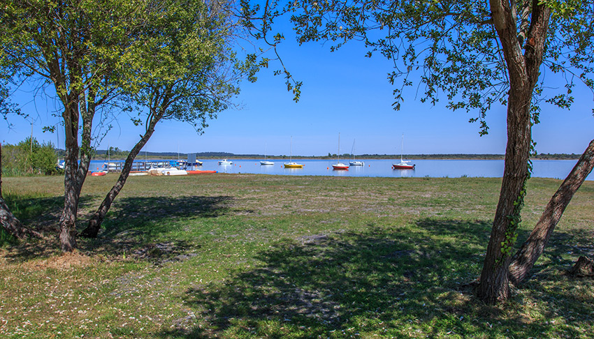 Bord du lac d'Hourtin sur les rives de Piqueyrot