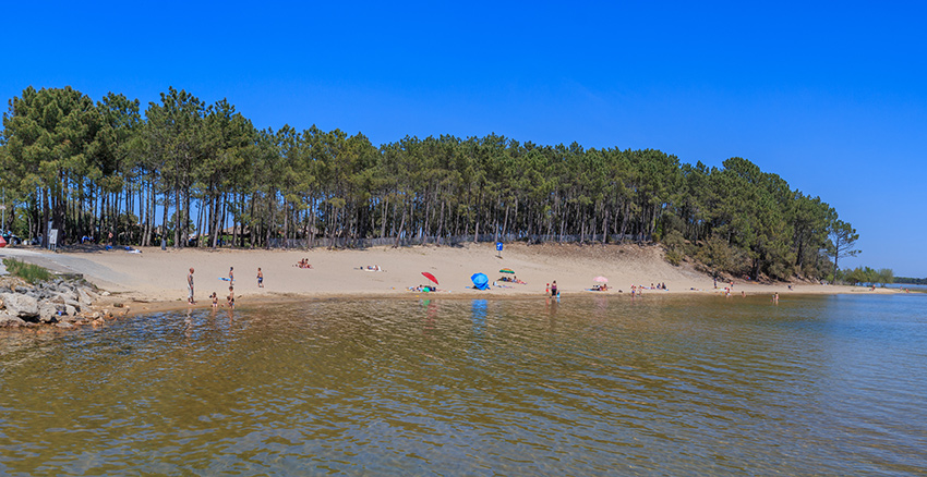 Vue panoramique sur la plage de Piqueyrot à Hourtin en Gironde