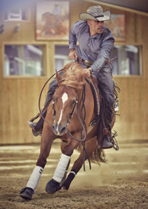camping village resort western hourtin cheval equitation