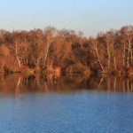 La Lagune de Contaut entre Hourtin ville et Hourtin Port