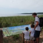 Reserve Naturelle des Dunes et Marais de Hourtin