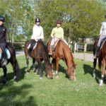 Centre equestre à Hourtin en gironde