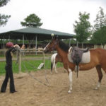 Cours et stage d'équitation à Hourtin en Gironde