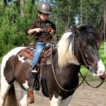 Ecole d'equitation western à Hourtin en gironde