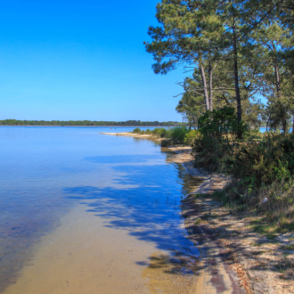 Bord du lac d'Hourtin en Gironde