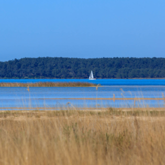 Voilier sur le lac à Hourtin