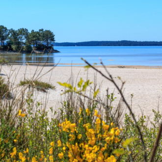 Belle plage du lac à Hourtin Port