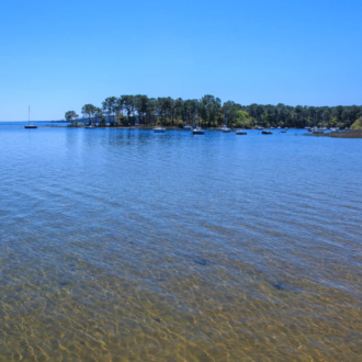 Jolie vue sur une baie du lac de Hourtin en Médoc