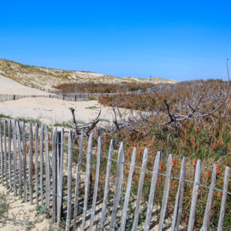 Passage de la dune vers Hourtin Plage