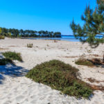 Plage du lac à Hourtin Port