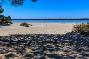 Baignade sur la plage de l'ile de la Banane à Hourtin