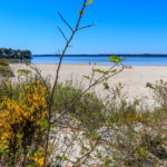 Plage de la Banane à Hourtin Port en bord de lac