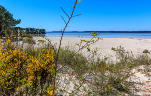 Plage de la Banane à Hourtin Port en bord de lac