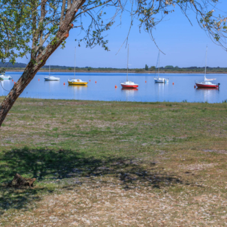 Vue sur le lac à Piqueyrot Hourtin